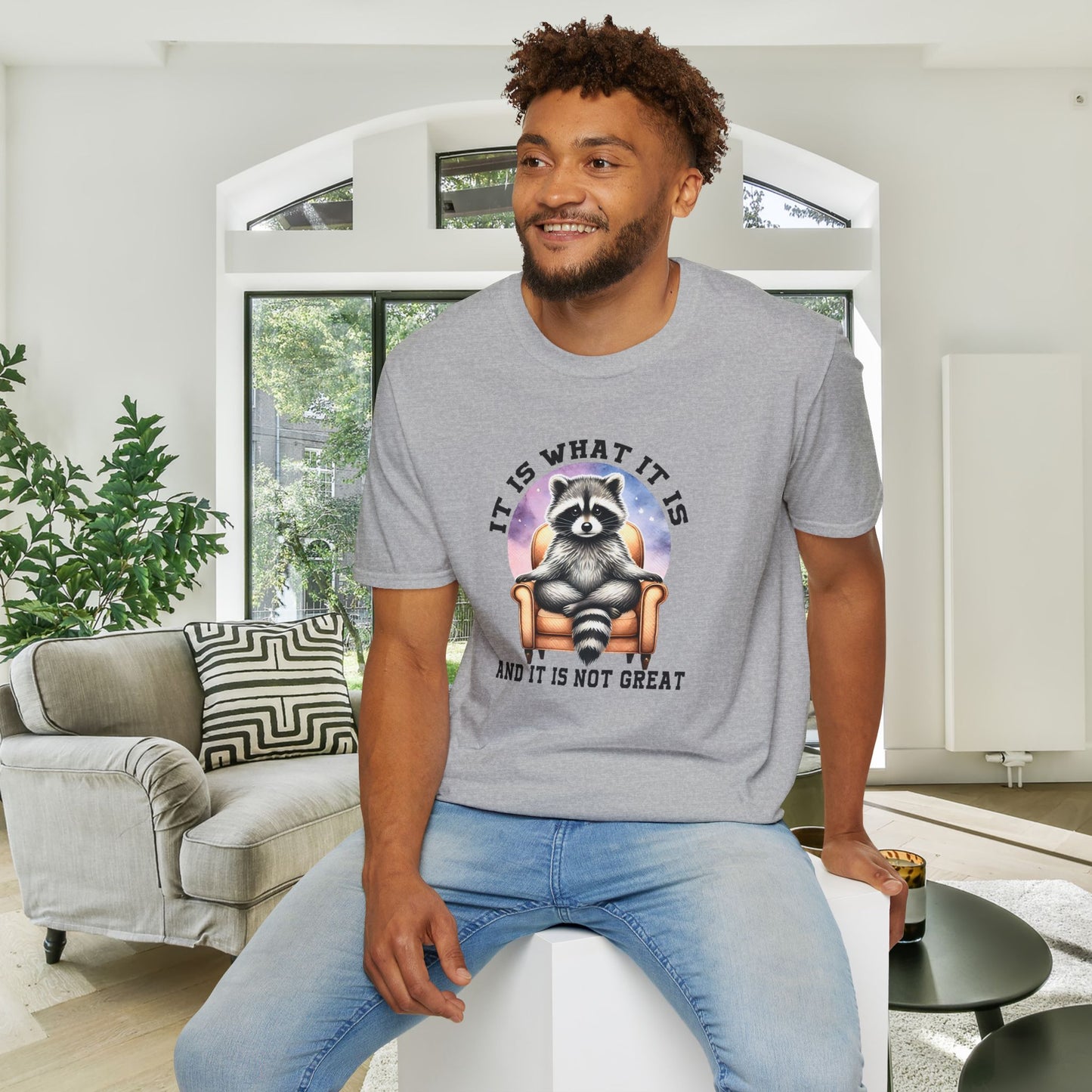 It Is What It Is And It's Not Great Raccoon Adult T-shirt