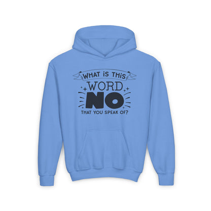 What Is This Word No That You Speak Of? Youth Heavy Blend Hoodie