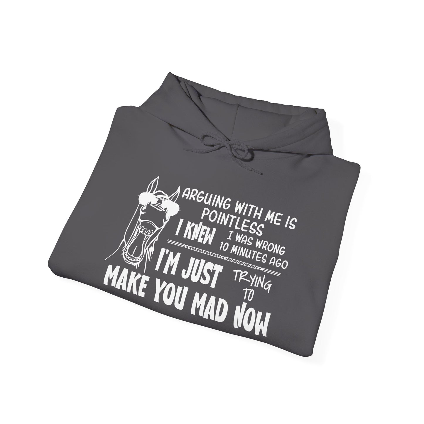 Arguing With Me is Pointless... Heavy Blend™ Hooded Sweatshirt