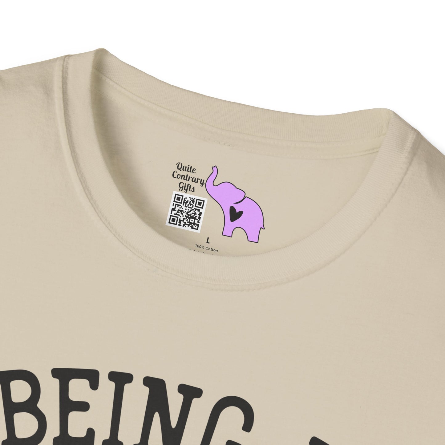 Being A Functional Adult Every Day Seems A Bit Excessive Adult T-shirt