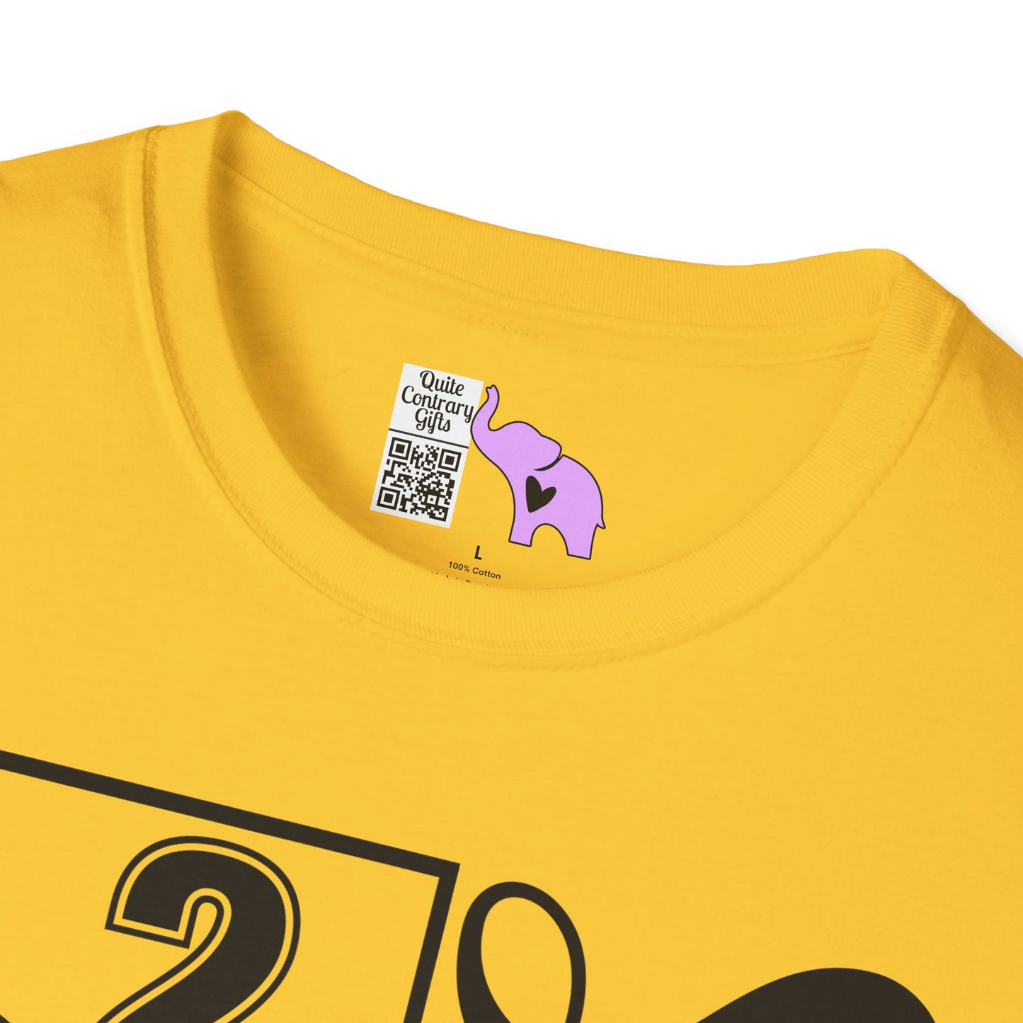 Vertical Class of 2027 Senior Adult T-shirt