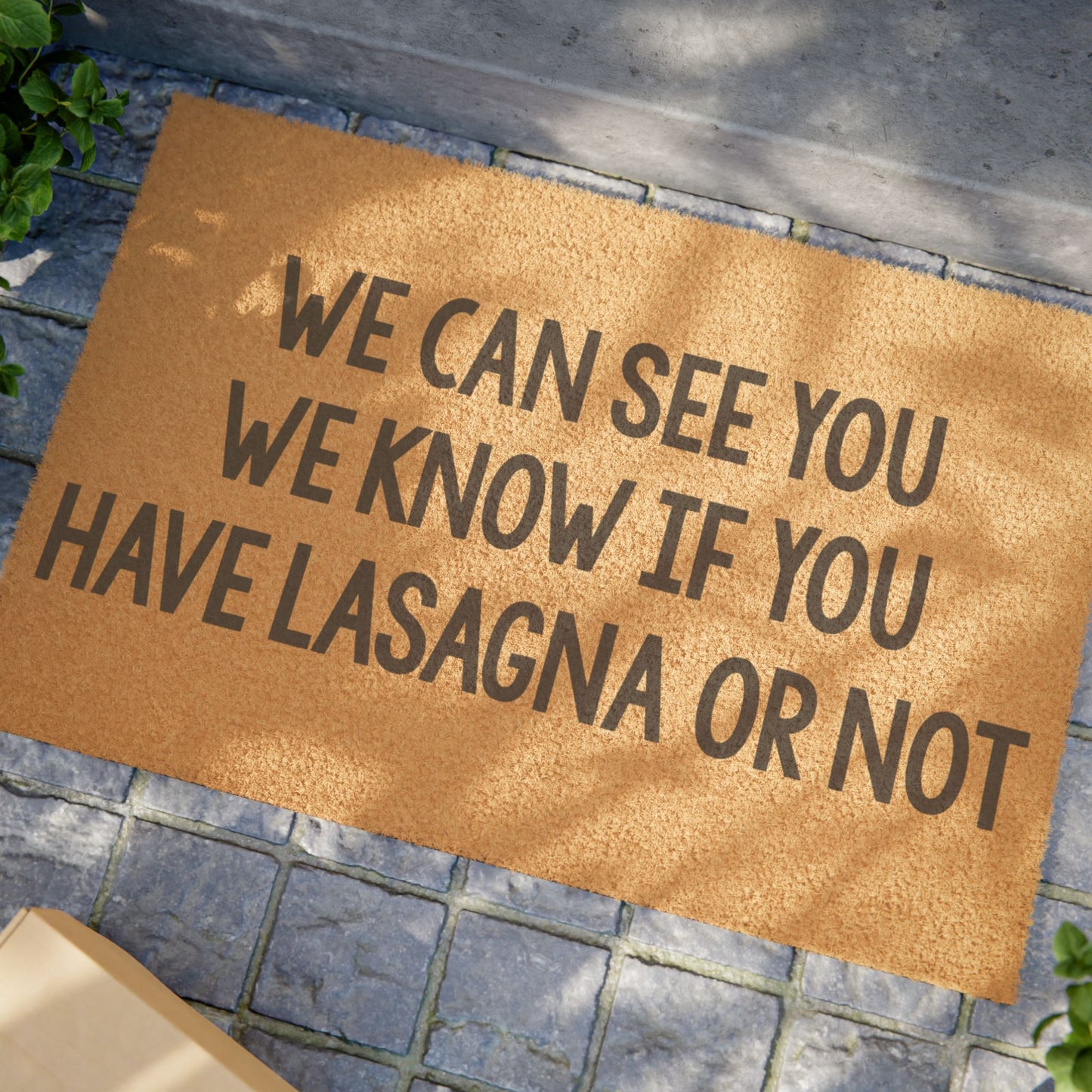 We Can See You We Know If You Have Lasagna or Not Coconut Fiber Doormat