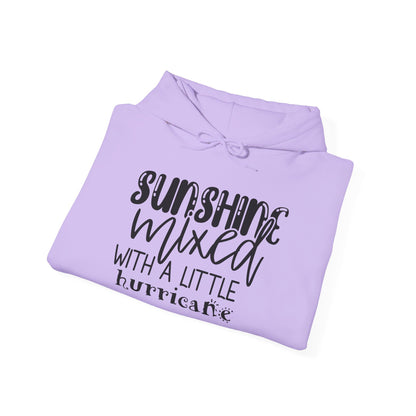 Sunshine Mixed With A Little Hurricane Heavy Blend™ Hooded Sweatshirt