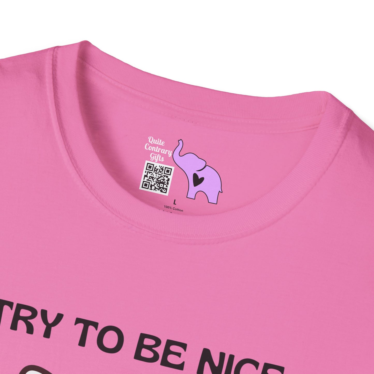 I Try To Be Nice But People Are Stupid Adult T-shirt