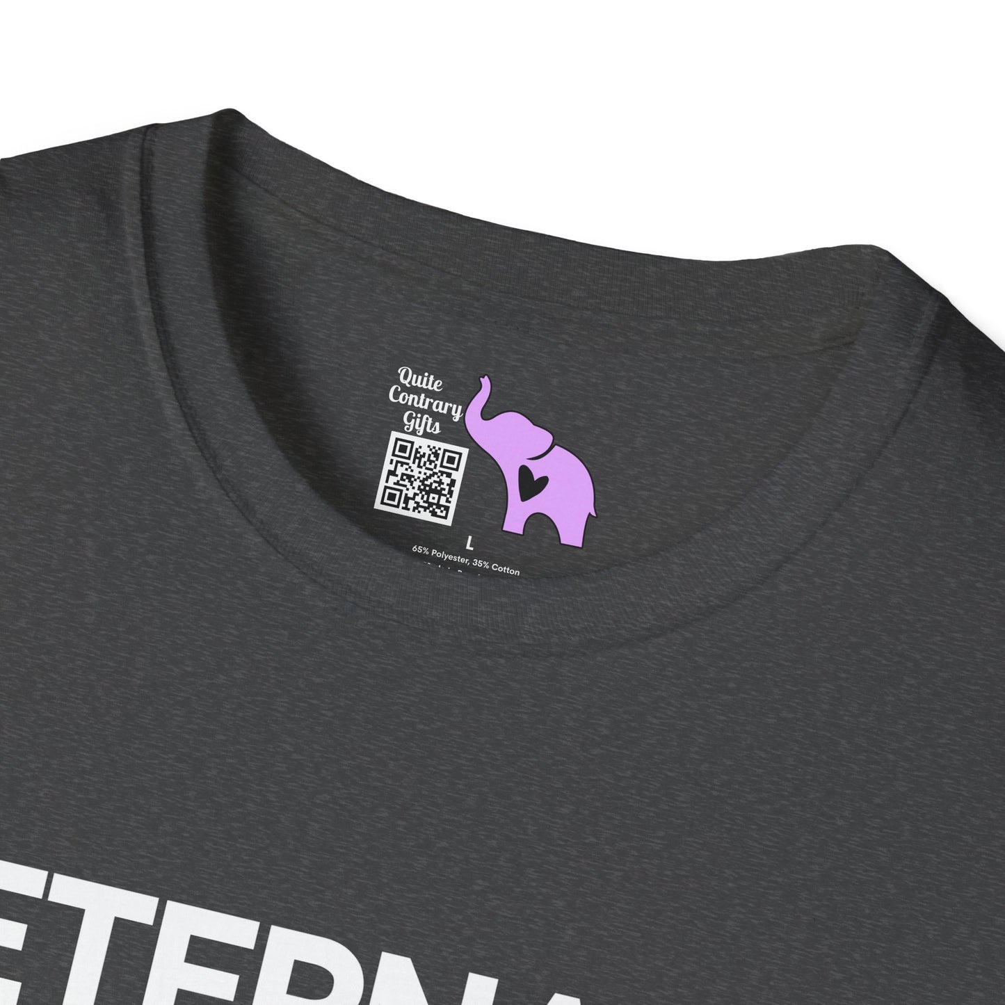 Eternal Perspective Adult T-shirt