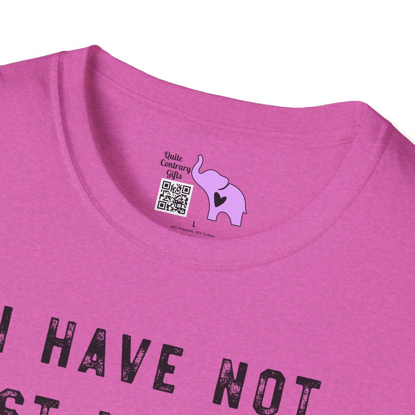 I Have Not Lost My Mind It's Backed Up On A Disk Adult T-shirt