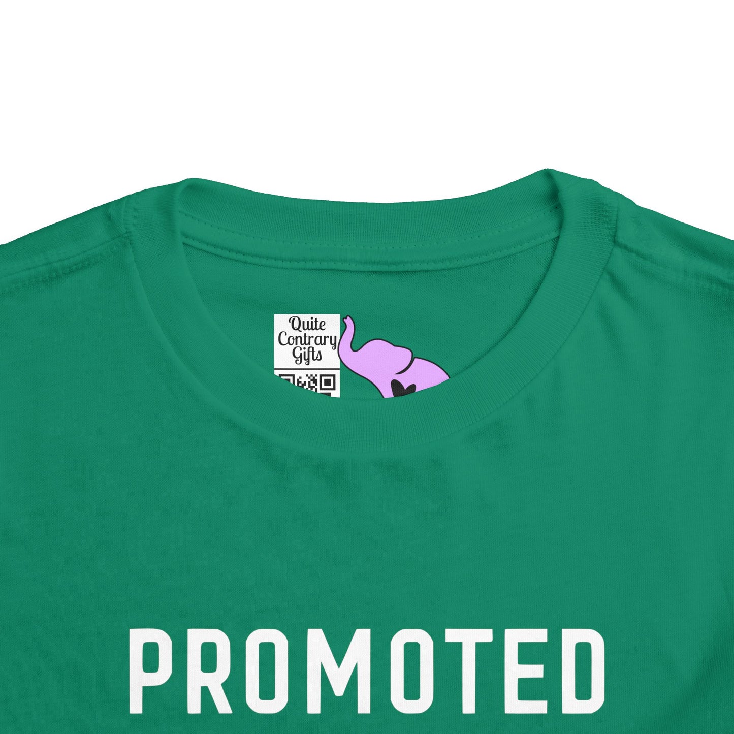 Promoted to Biggest Brother (Arrow) Toddler Tee