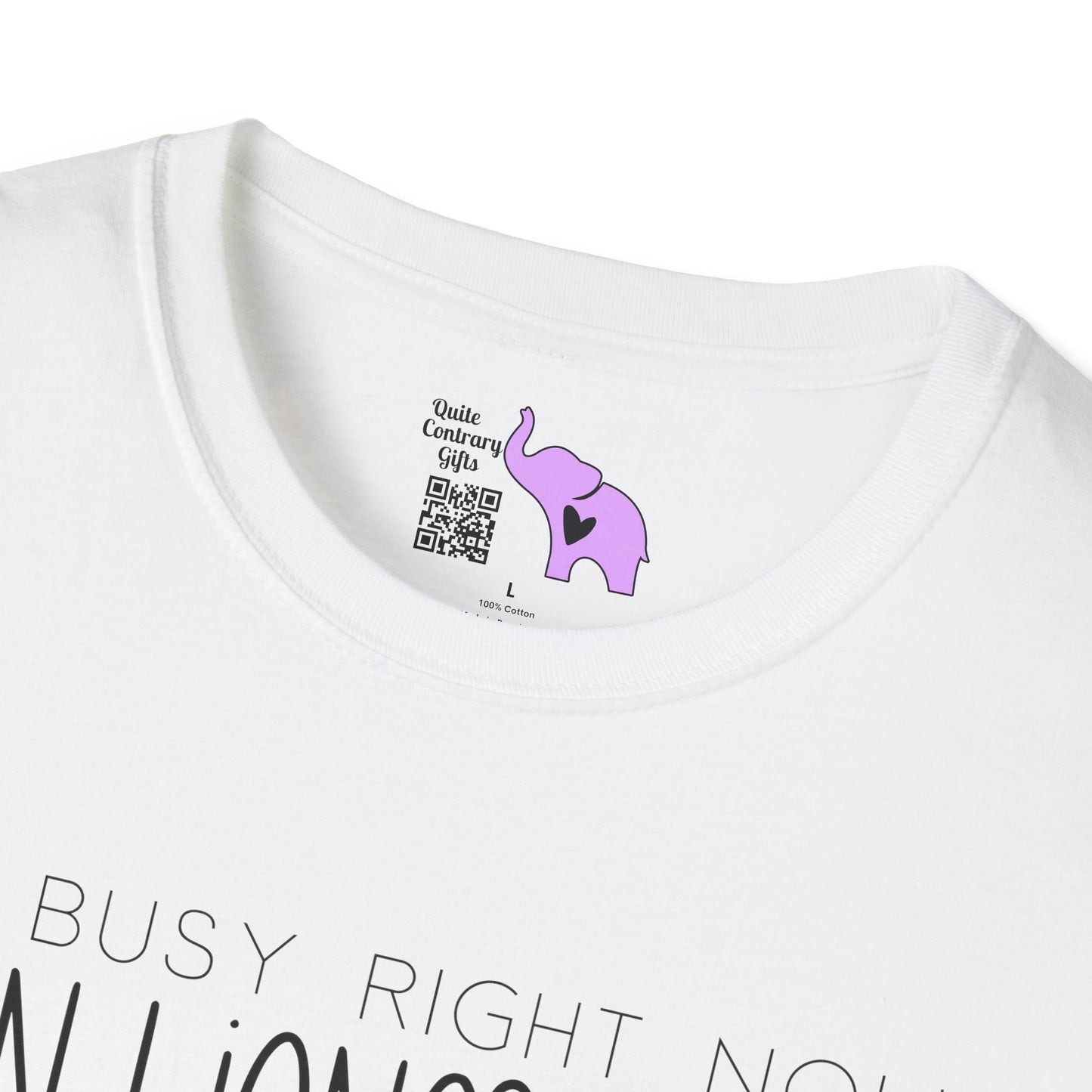 I'm Busy Right Now Can I Ignore You Some Other Time Adult T-shirt