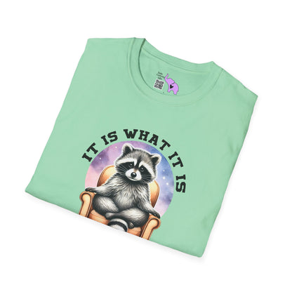 It Is What It Is And It's Not Great Raccoon Adult T-shirt