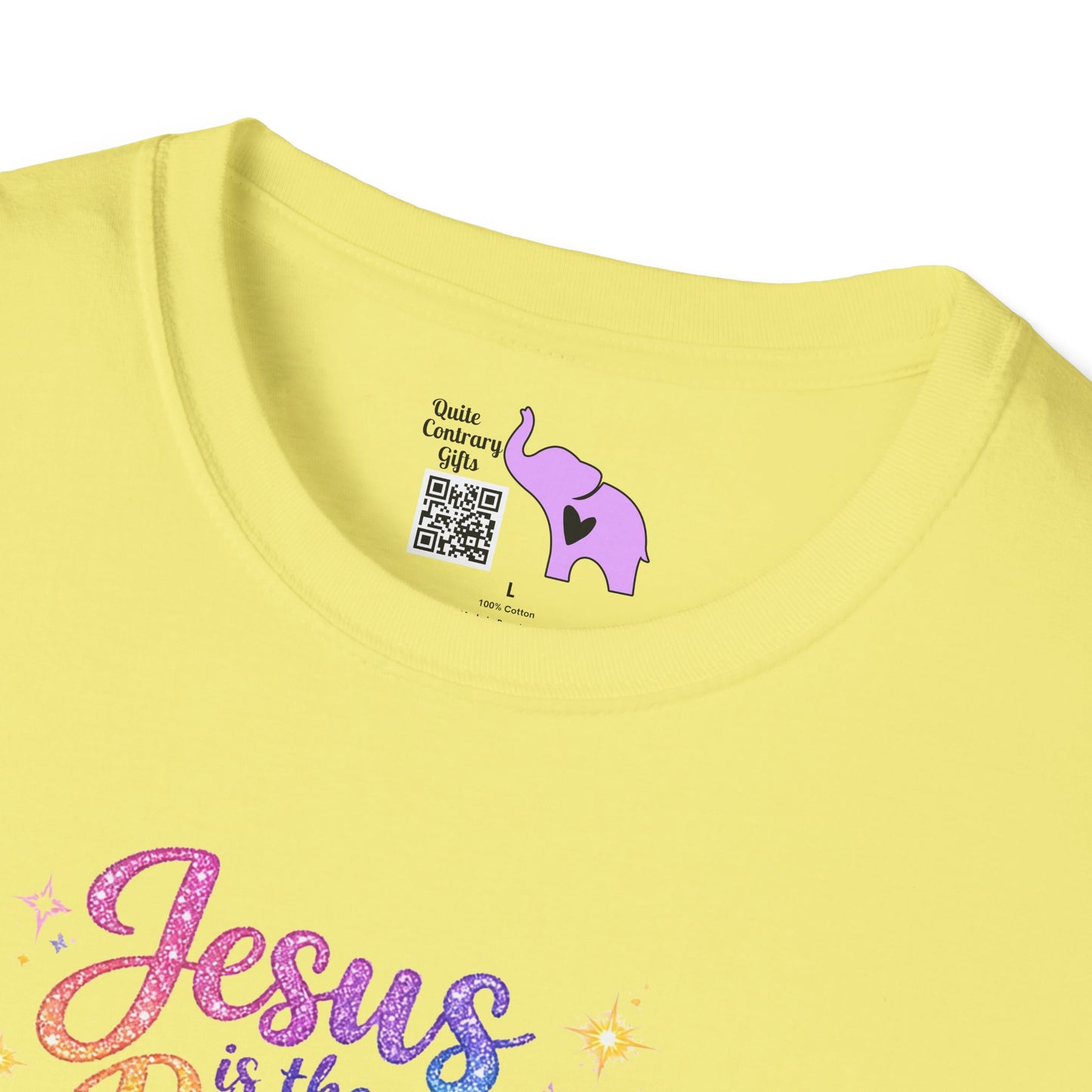 Jesus Is The Reason Adult T-shirt