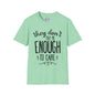 They Don't Pay Me Enough To Care Adult T-shirt