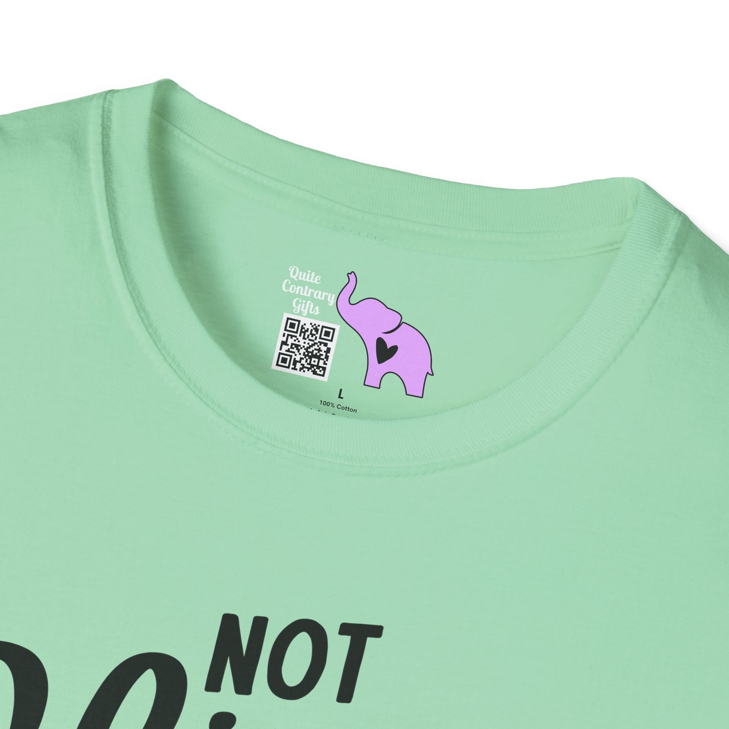 Not Slim Kinda Shady Adult T-shirt