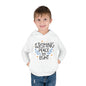 Hanukkah Wishing Peace & Light 3 Toddler Pullover Fleece Hoodie