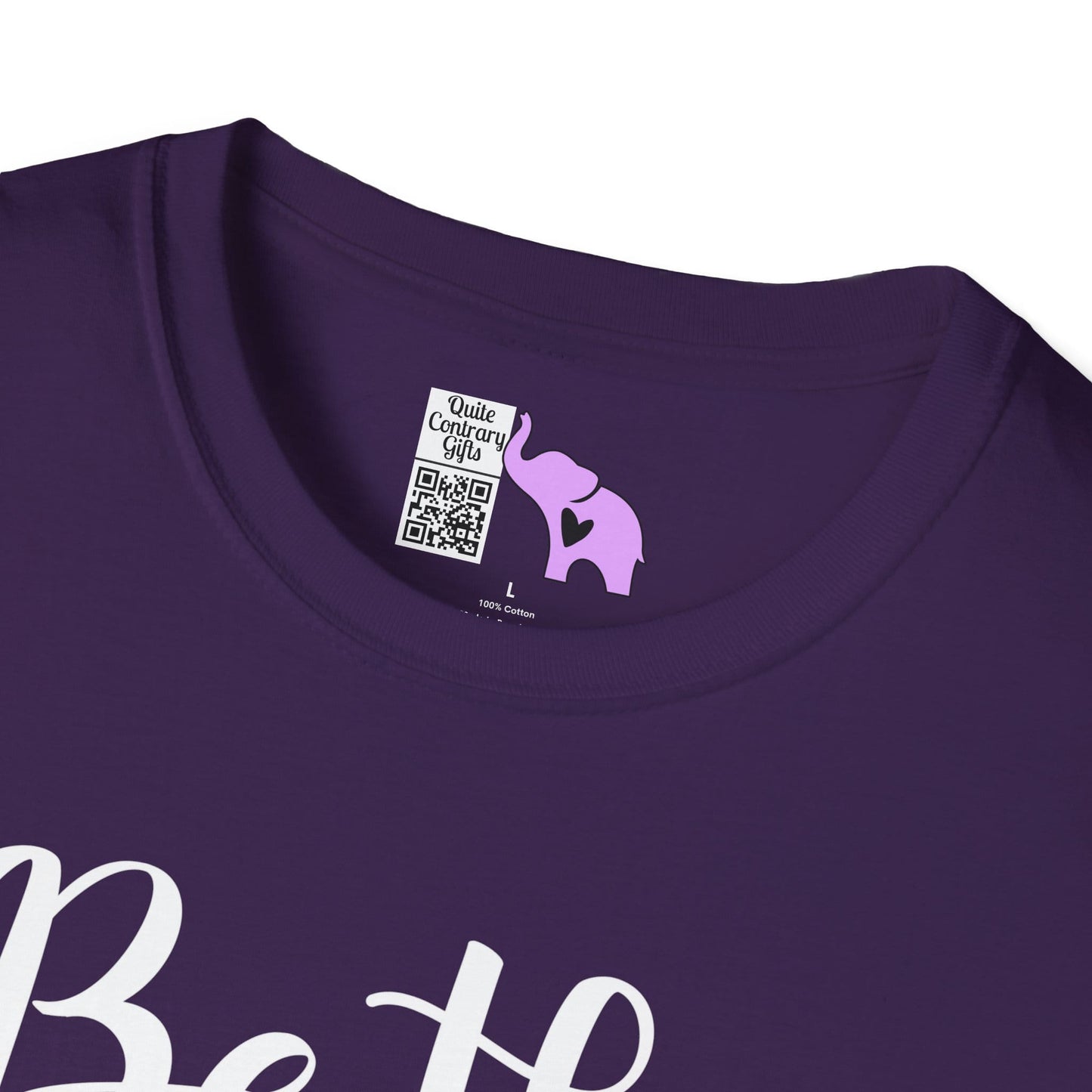 Be The Best Version of You Adult T-shirt