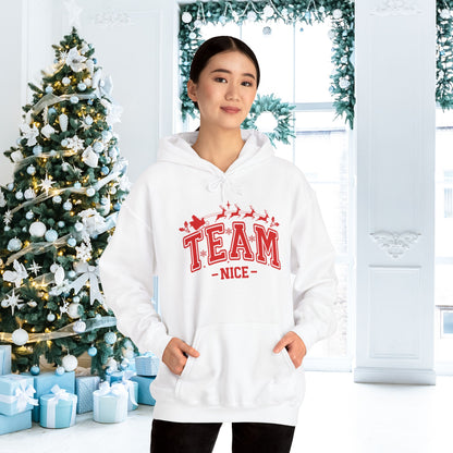 Team Nice Adult Heavy Blend™ Hoodie