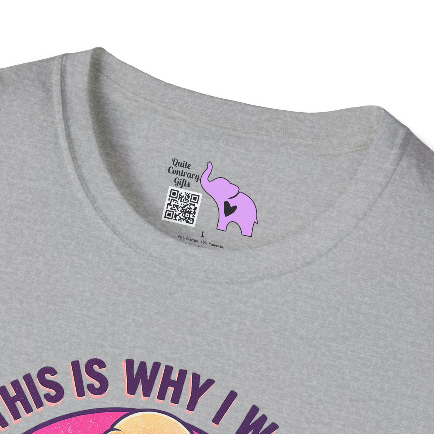 And This Is Why I Wanted To Stay Home All This Right Here Adult T-shirt