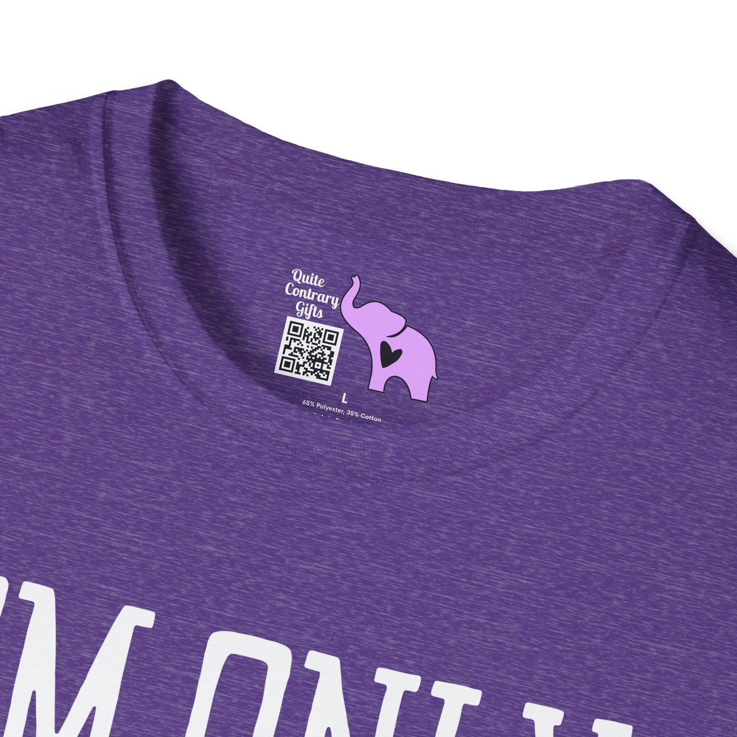 I'm Only Talking To My Dog Today Adult T-shirt