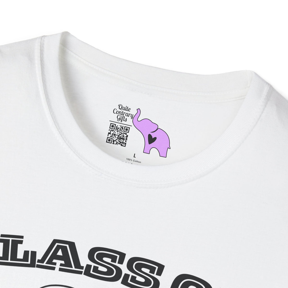 Class of 2038 Adult-sized T-shirt for 2026/27 First Graders