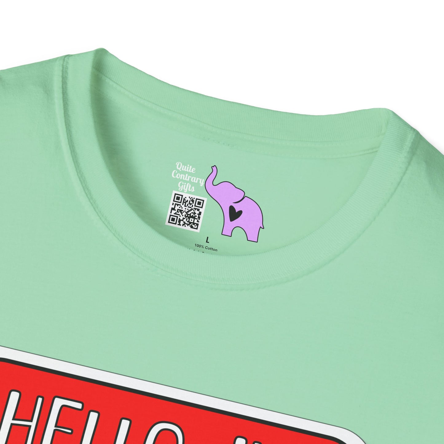 Hello, I'm Using My Last Spoons To Enjoy Time With You Adult T-shirt