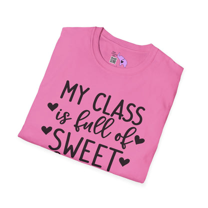 My Class is Full of Sweet Hearts Adult T-shirt