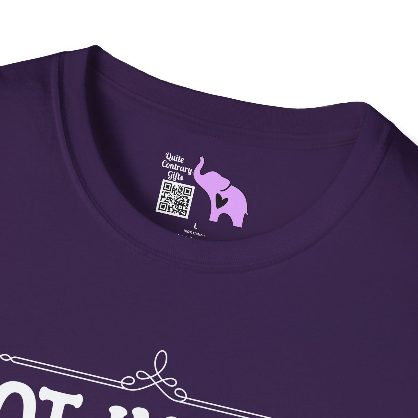 Not In A Jail/Mental Hospital/Dead I'd Say It's A Good Day Adult T-shirt
