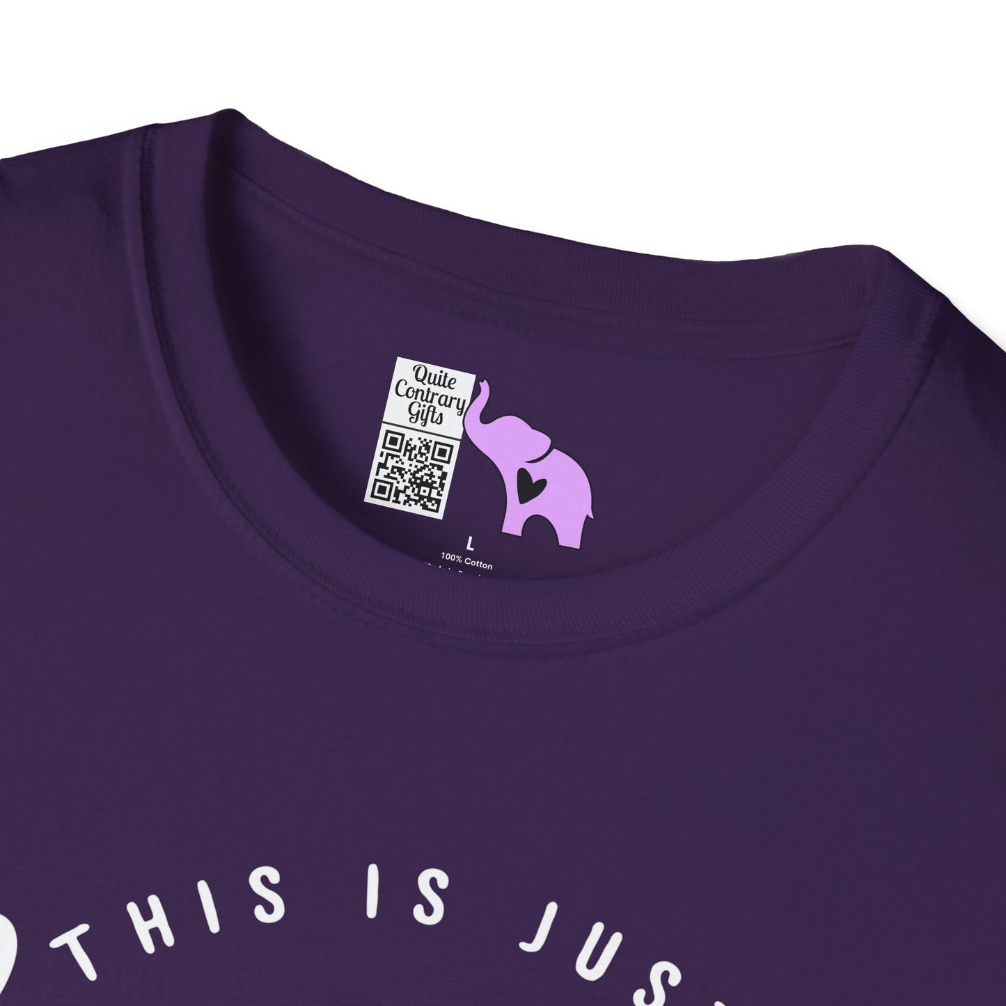 This is Just a Chapter Not The Whole Story Adult T-shirt