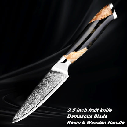 Damascus Steel Professional Chef Knife Set