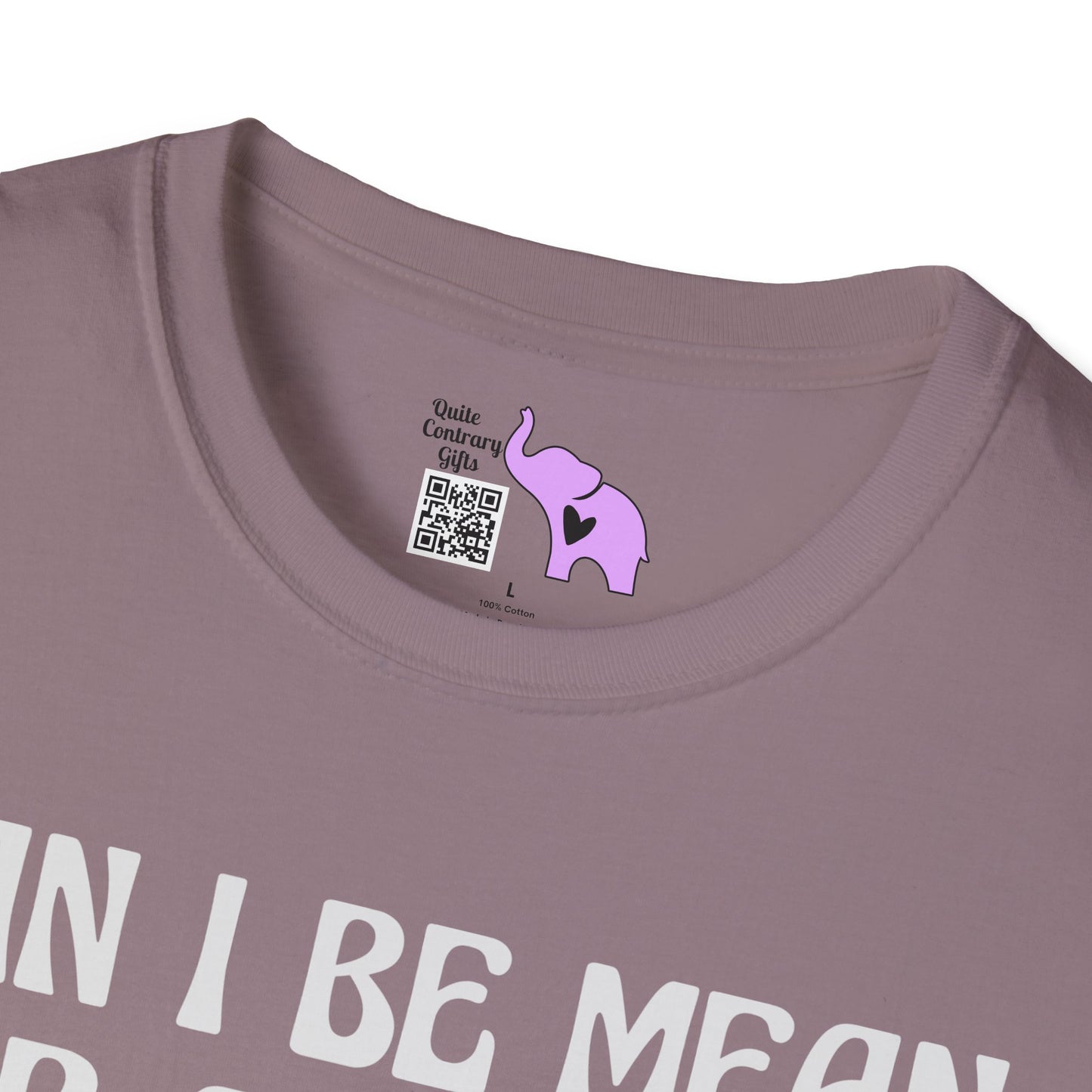 Can I Be Mean For A Second Adult T-shirt