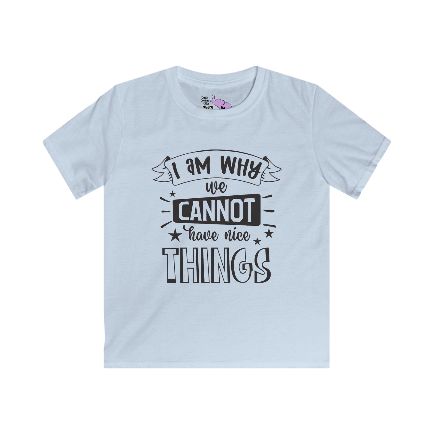 I Am Why We Cannot Have Nice Things Youth Softstyle Tee