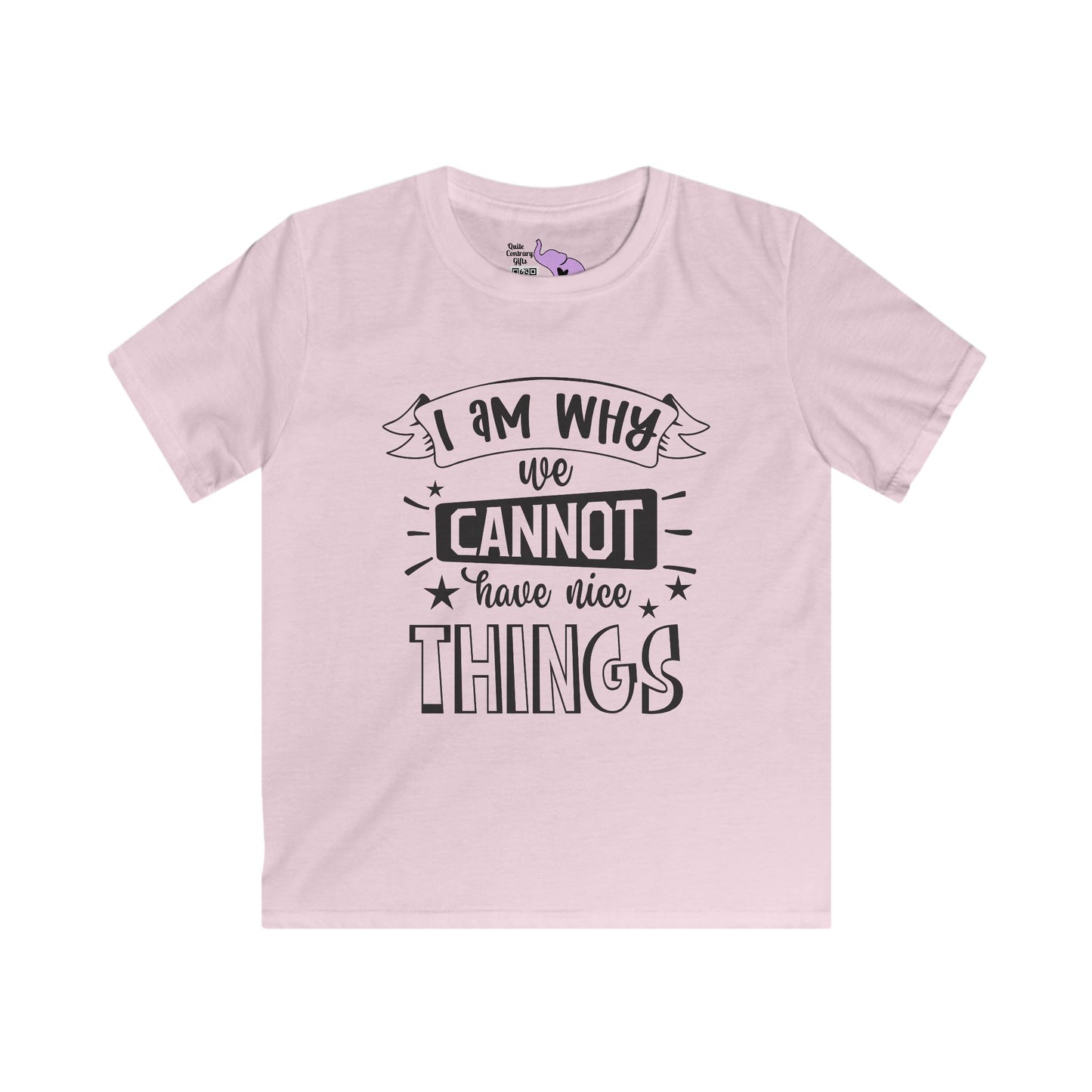 I Am Why We Cannot Have Nice Things Youth Softstyle Tee