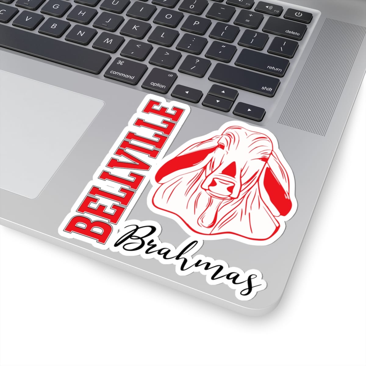 Bellville Vertical Fury, Black Kiss-Cut Decal