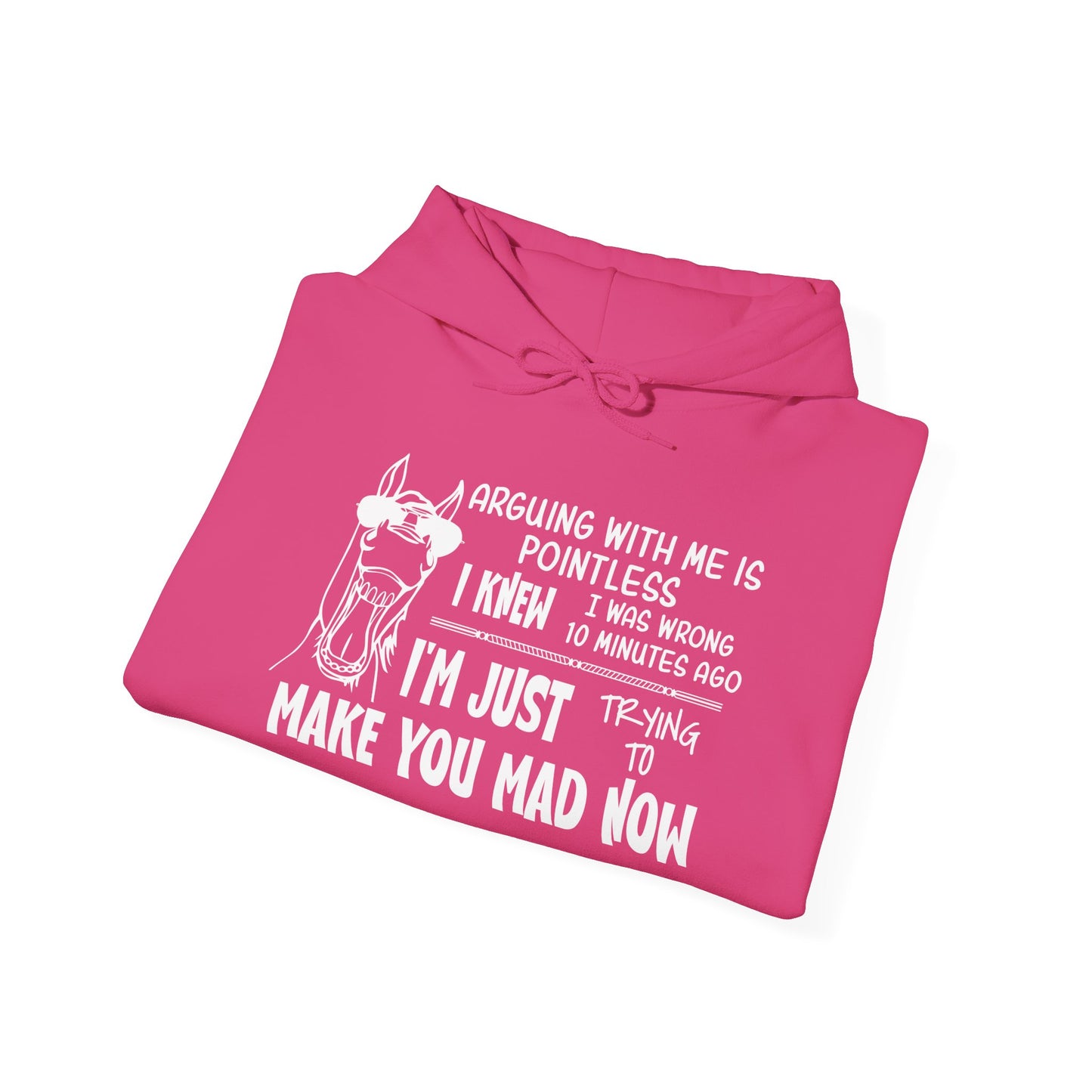 Arguing With Me is Pointless... Heavy Blend™ Hooded Sweatshirt