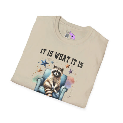 It Is What It Is And It's Not Great Racoon (2) T-shirt