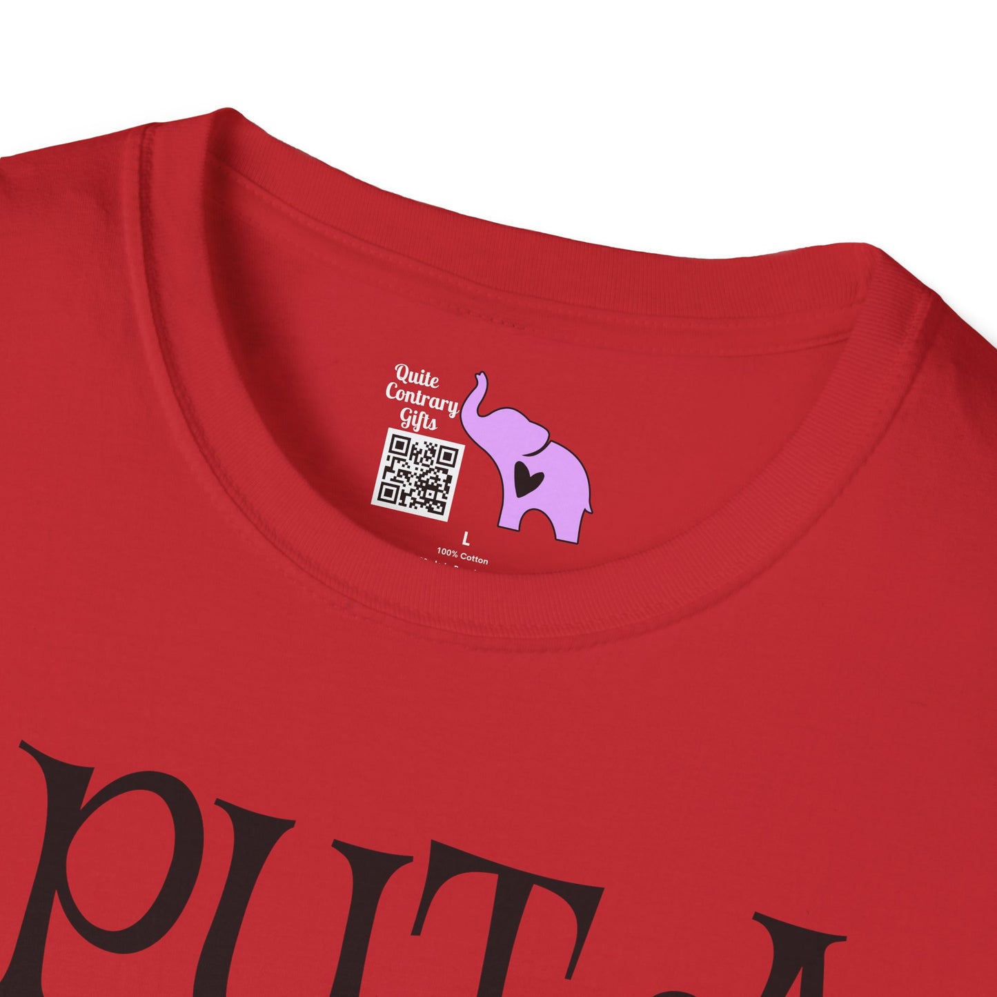 I Put A Spell On You Adult T-shirt