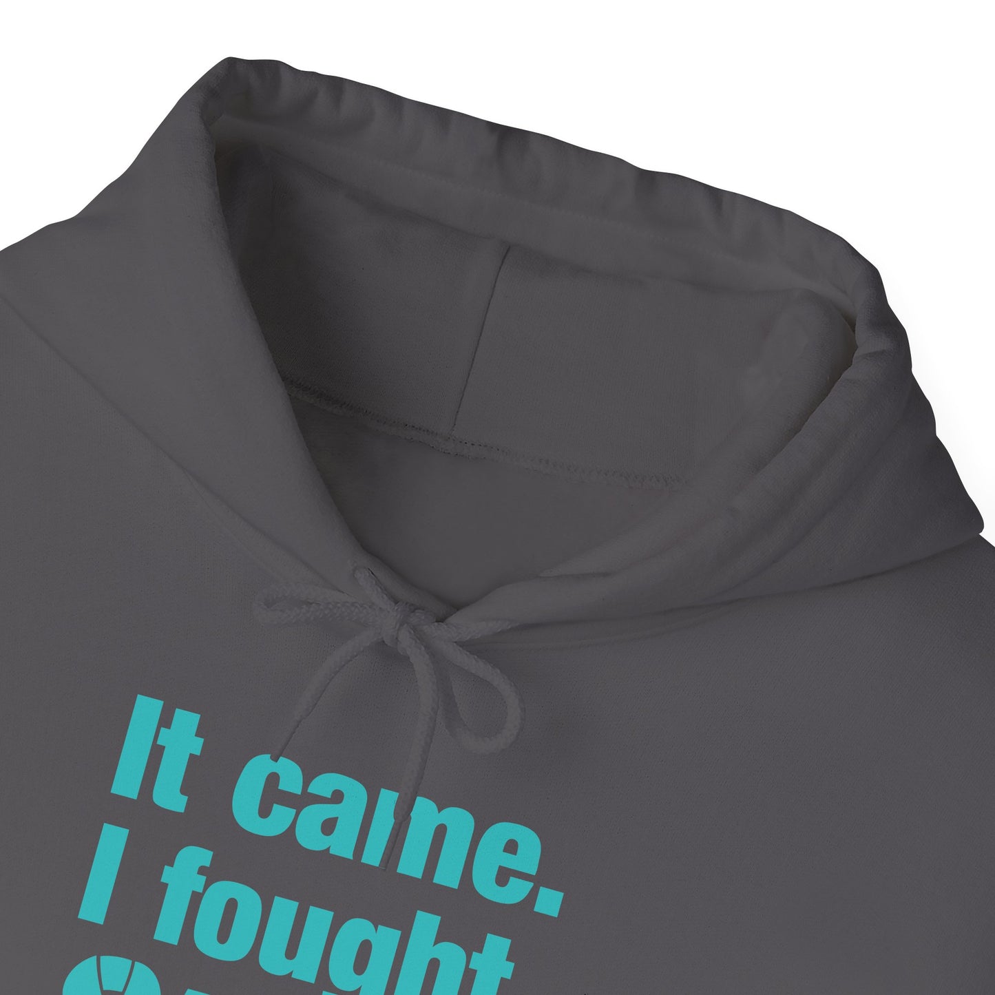 It Came I Fought I Won Cervical Cancer Awareness Adult Heavy Blend™ Hoodie