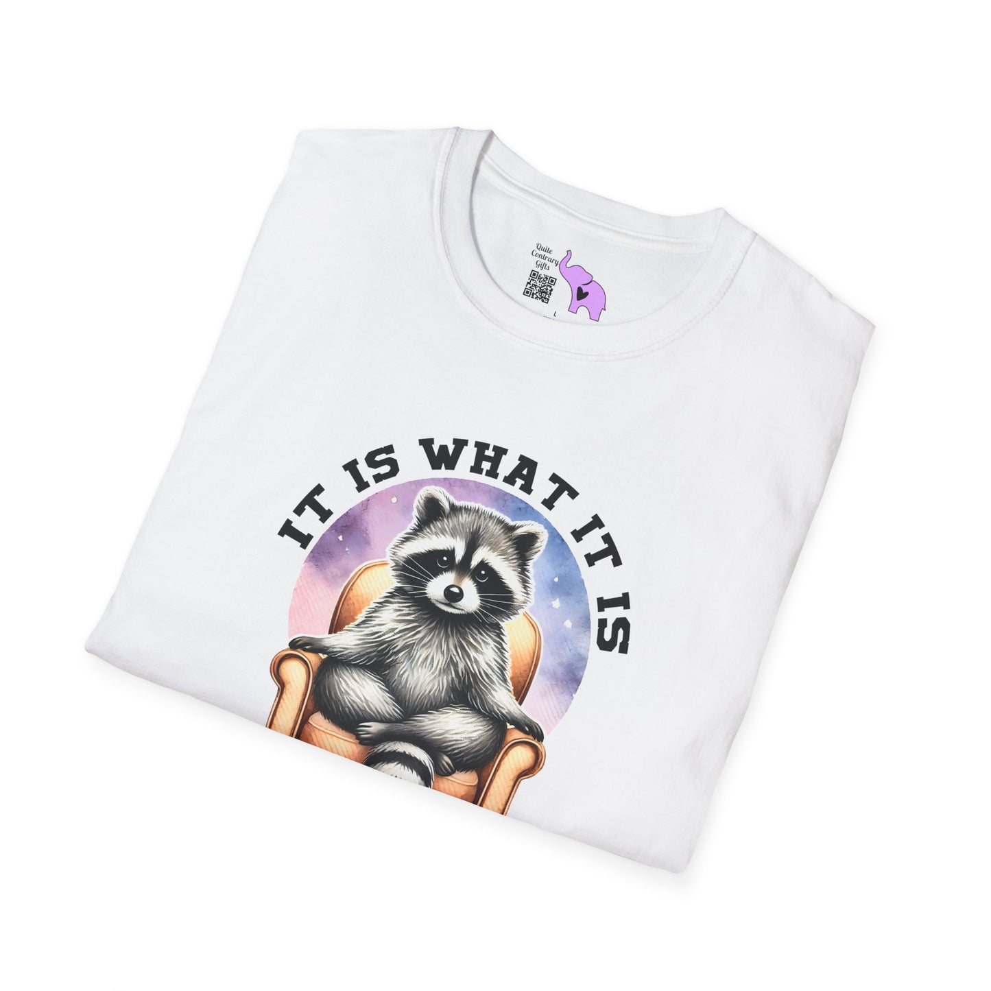 It Is What It Is And It's Not Great Raccoon Adult T-shirt