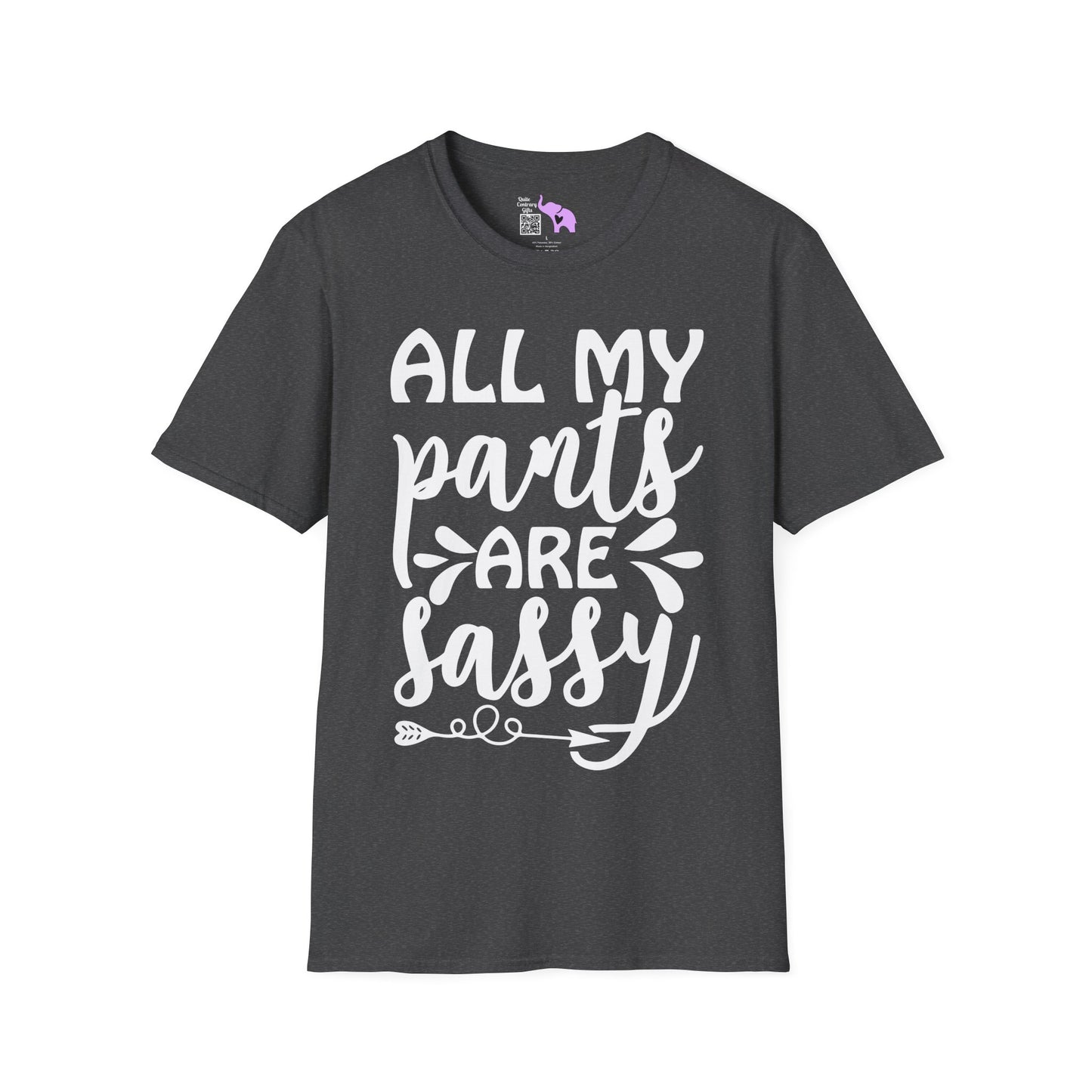All My Pants Are Sassy T-shirt