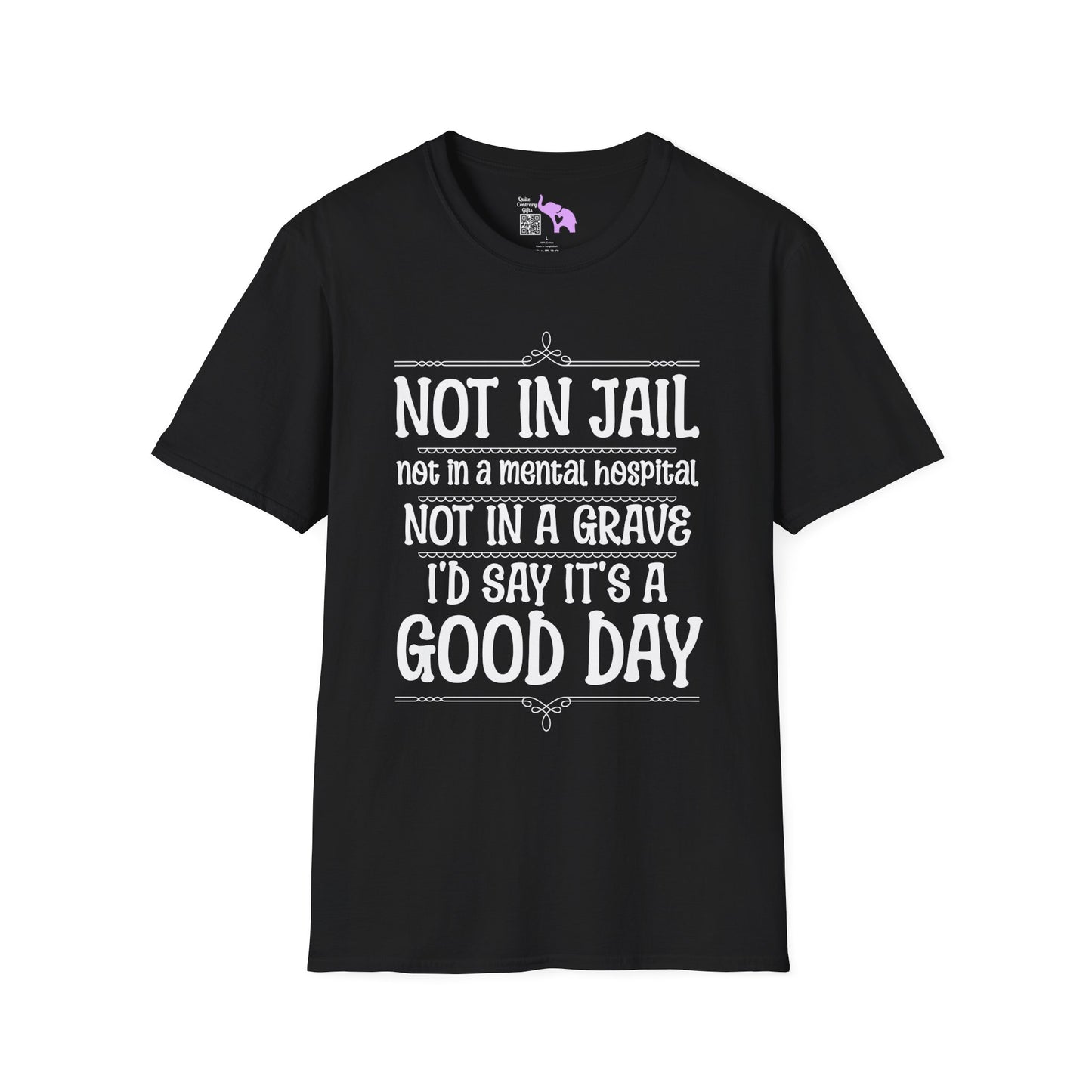 Not In A Jail/Mental Hospital/Dead I'd Say It's A Good Day Adult T-shirt