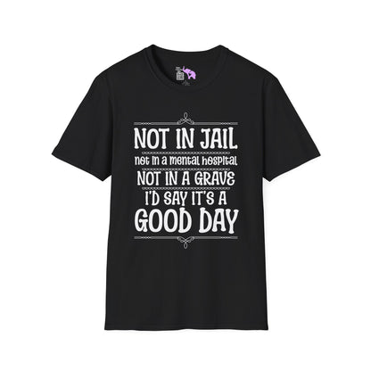 Not In A Jail/Mental Hospital/Dead I'd Say It's A Good Day Adult T-shirt