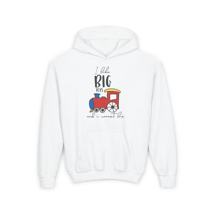 I LIke Big Toys and I Cannot Lie Youth Heavy Blend Hoodie