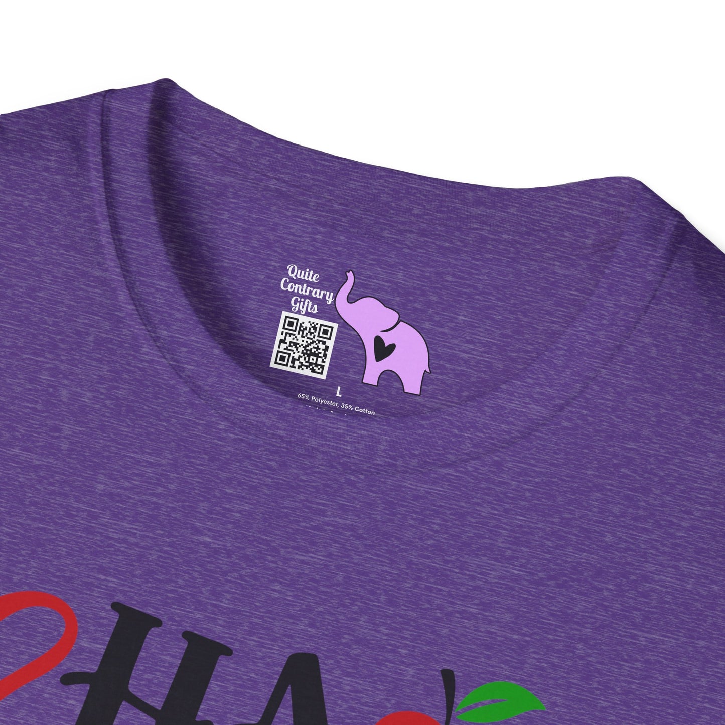 Chaos Coordinator Adult T-shirt