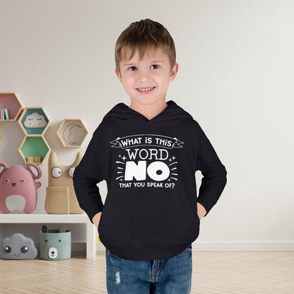 What Is This Word No That You Speak Of? Toddler Hoodie
