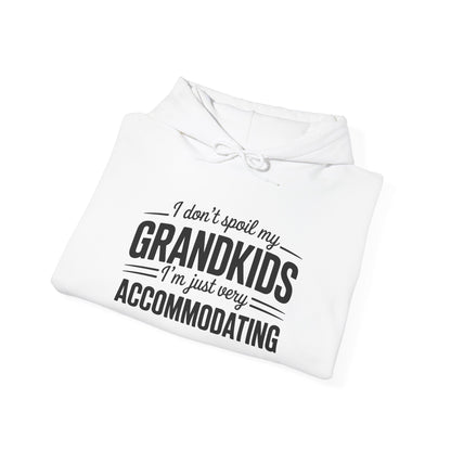 I Don't Spoil My Grandkids I'm Just Very Accommodating Heavy Blend™ Hooded Sweatshirt