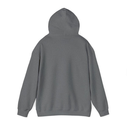 Naughty; Nice; I Tried Adult Heavy Blend™ Hooded Sweatshirt