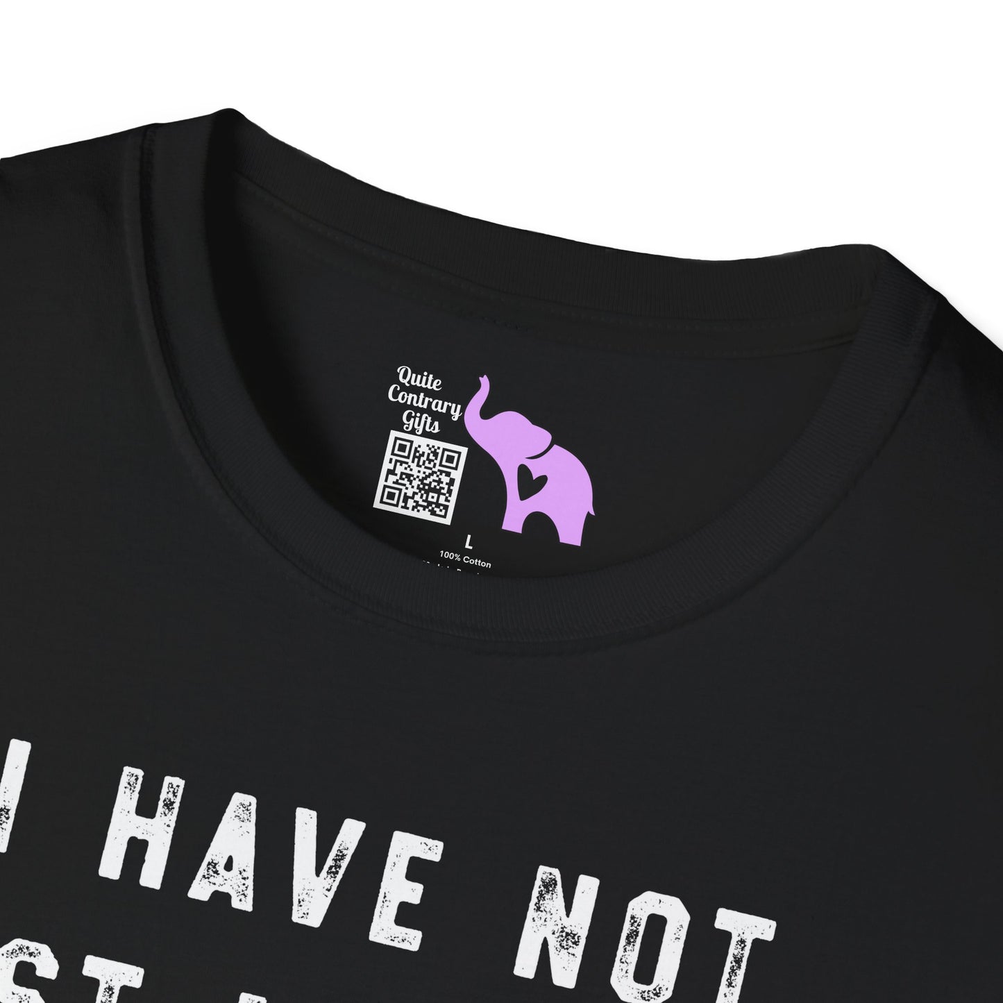 I Have Not Lost My Mind It's Backed Up On A Disk Adult T-shirt