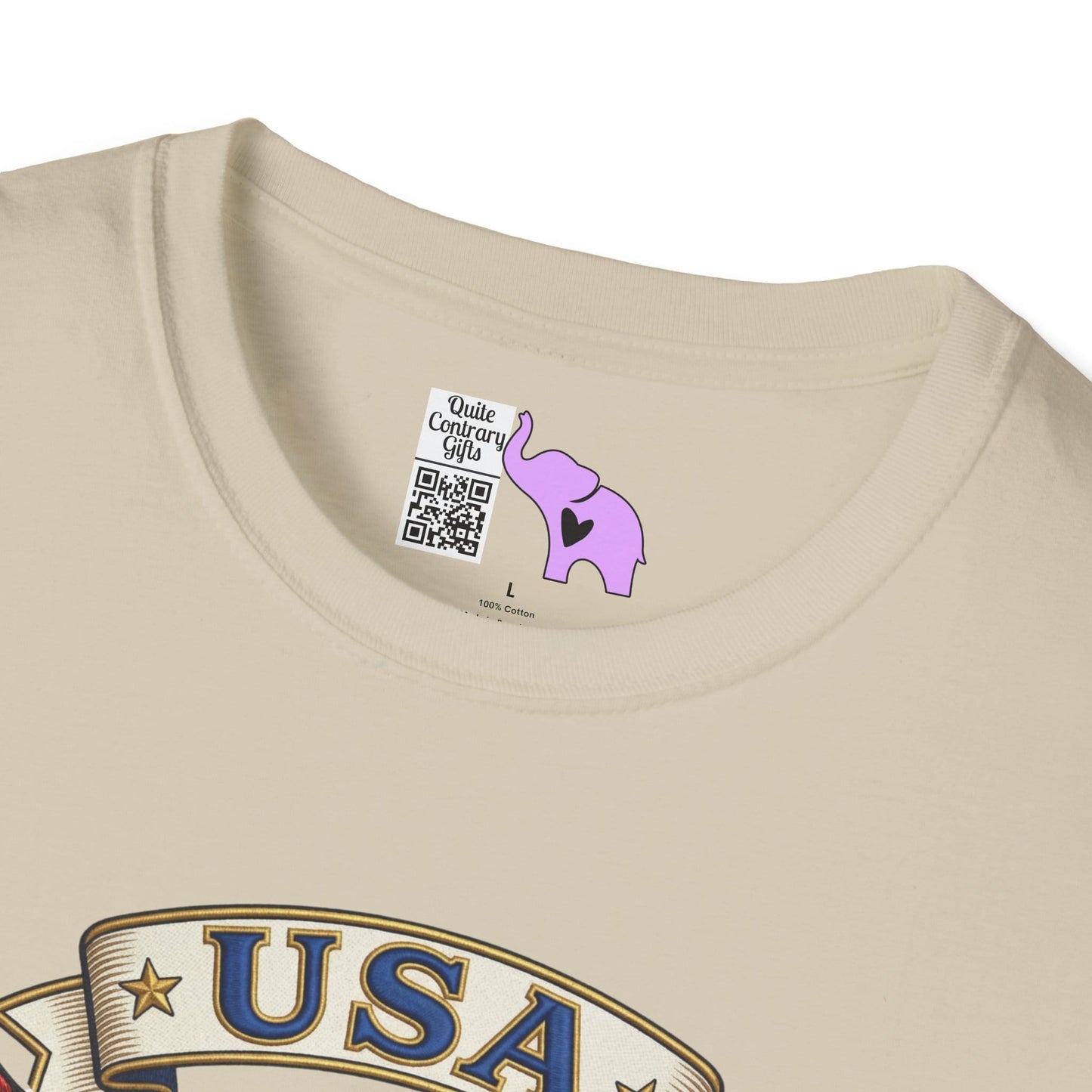 USA 250 Eagle Adult T-shirt