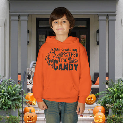 Will Trade My Brother For Candy Youth Heavy Blend Hoodie