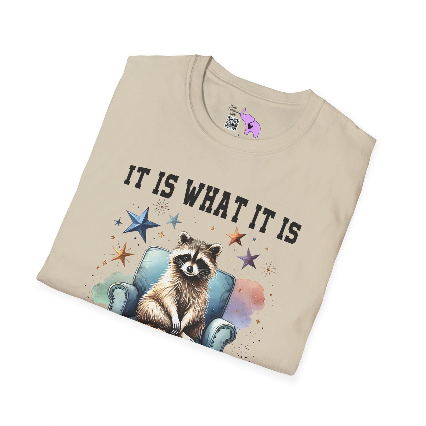 It Is What It Is And It's Not Great Racoon (2) Adult T-shirt