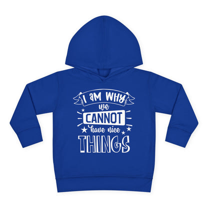 I Am Why We Cannot Have Nice Things Toddler Hoodie