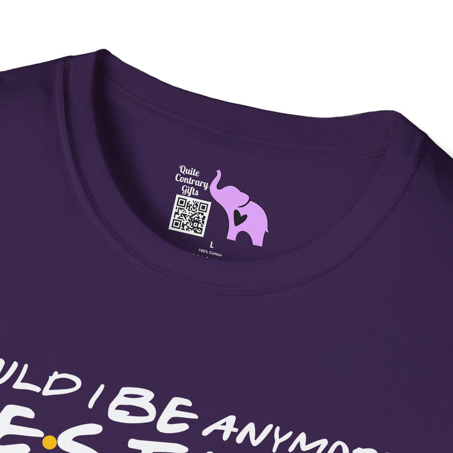 Could I BE Anymore Festive? (Friends, Phoebe's Christmas Song) Adult T-shirt